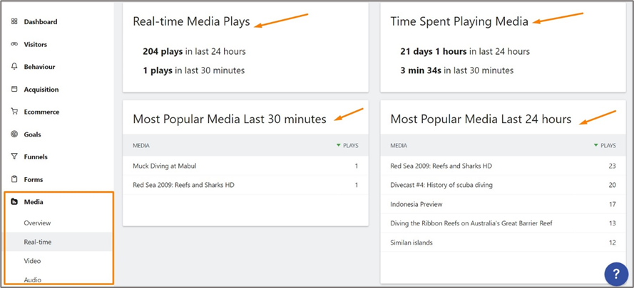 Real-Time Visitor Media Analytics